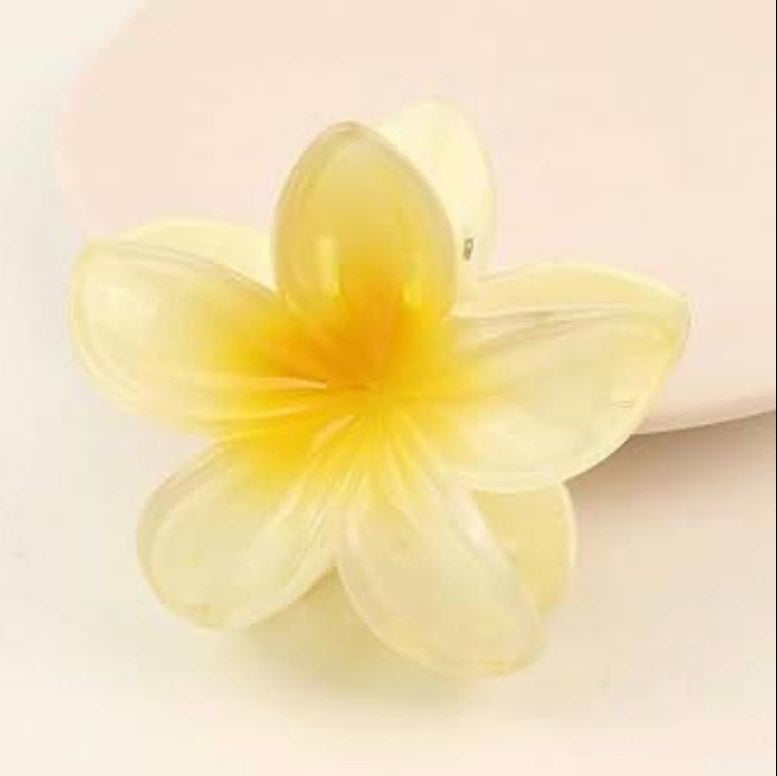 Yellow flower on a beige background